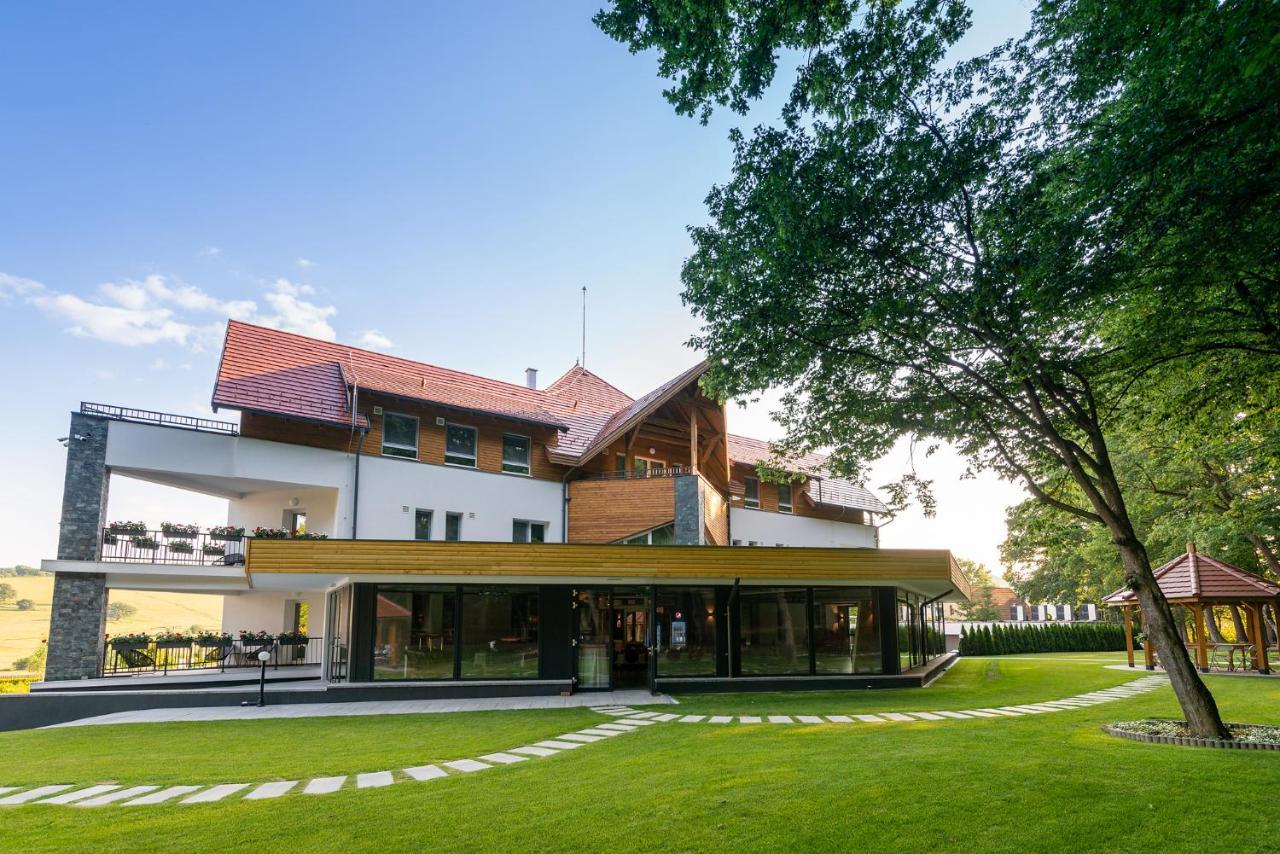 Panorama Boutique Hotel Sfantu Gheorghe  Luaran gambar